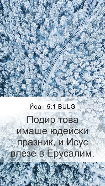 Йоан 5:1 BULG Bible Verse Image