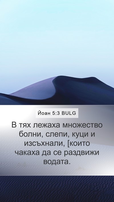 Йоан 5:3 BULG Bible Verse Image