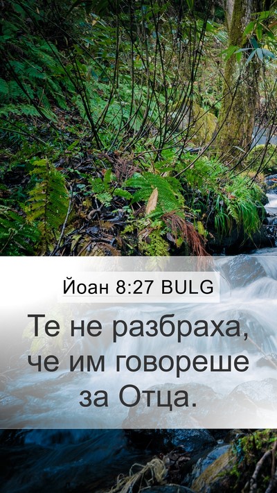 Йоан 8:27 BULG Mobile Phone Wallpaper - Те не разбраха, че им - Mobile Bible Verse Wallpaper