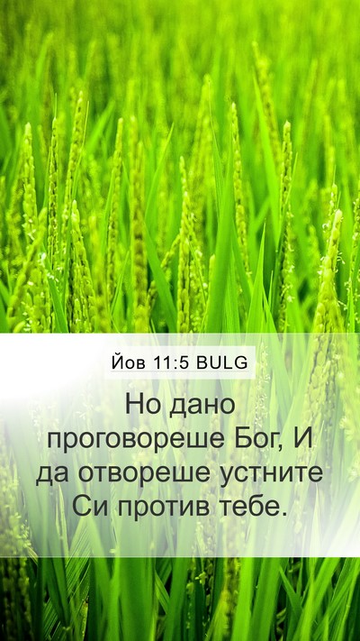Йов 11:5 BULG Bible Verse Image