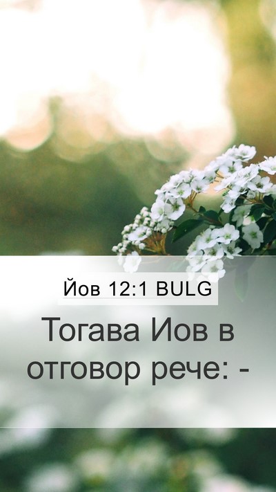 Йов 12:1 BULG Mobile Phone Wallpaper - Тогава Иов в отговор рече: - Mobile Bible Verse Wallpaper