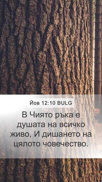 Йов 12:10 BULG Bible Verse Image