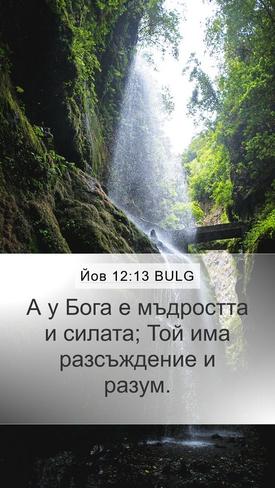 Йов 12:13 BULG Bible Verse Image