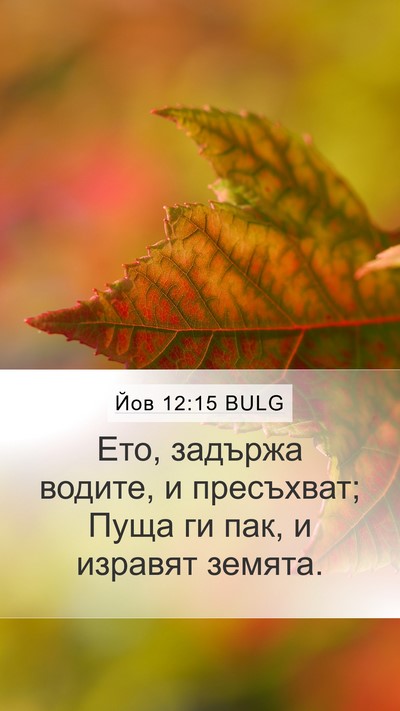 Йов 12:15 BULG Bible Verse Image