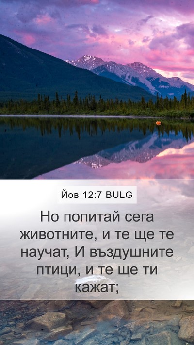 Йов 12:7 BULG Bible Verse Image