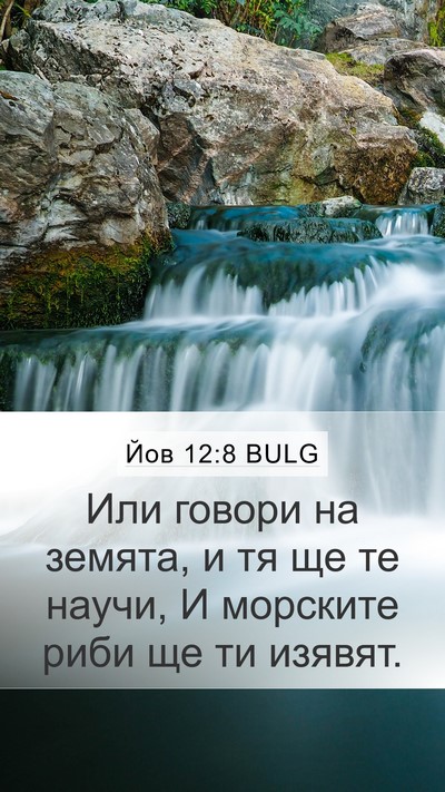 Йов 12:8 BULG Bible Verse Image