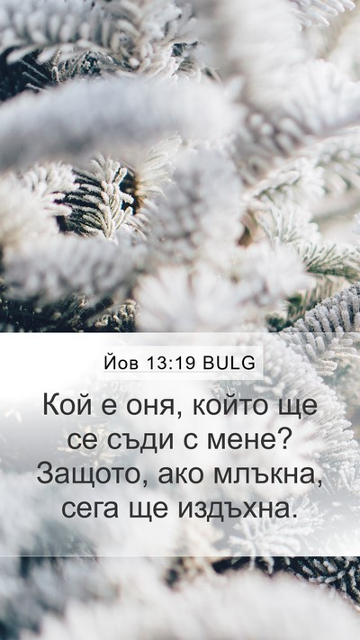 Йов 13:19 BULG Bible Verse Image