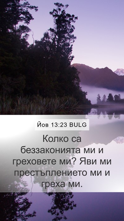 Йов 13:23 BULG Bible Verse Image