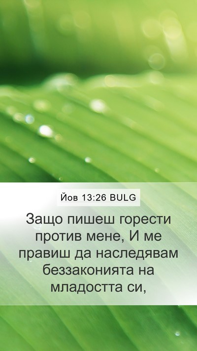 Йов 13:26 BULG Bible Verse Image