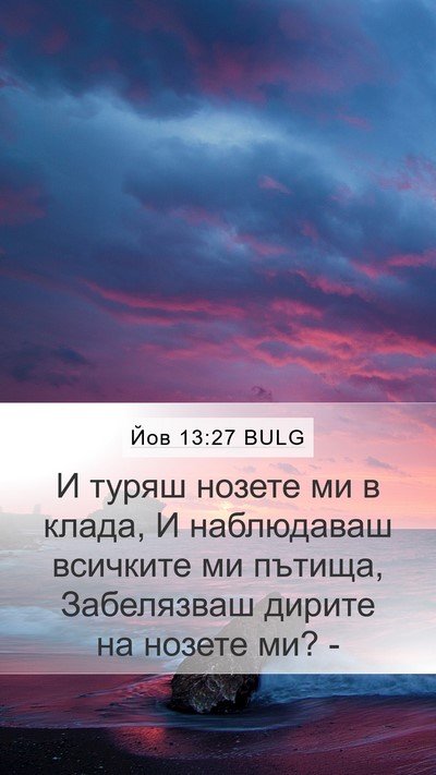 Йов 13:27 BULG Bible Verse Image