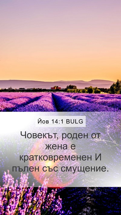 Йов 14:1 BULG Bible Verse Image
