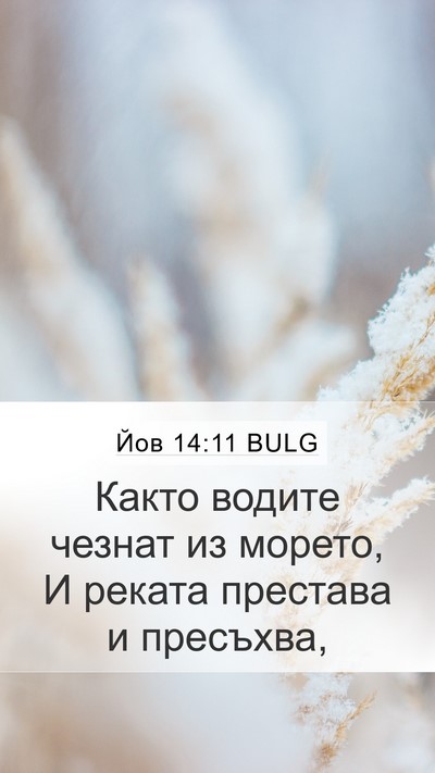 Йов 14:11 BULG Mobile Phone Wallpaper - Както водите чезнат из - Mobile Bible Verse Wallpaper