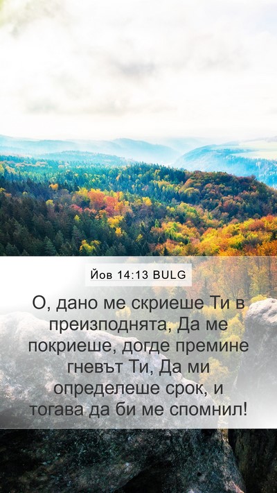 Йов 14:13 BULG Bible Verse Image