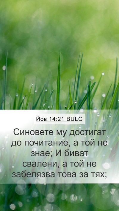 Йов 14:21 BULG Bible Verse Image