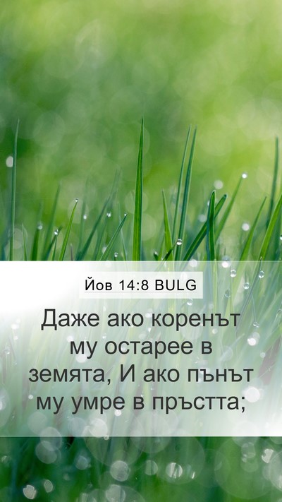 Йов 14:8 BULG Mobile Phone Wallpaper - Даже ако коренът му - Mobile Bible Verse Wallpaper