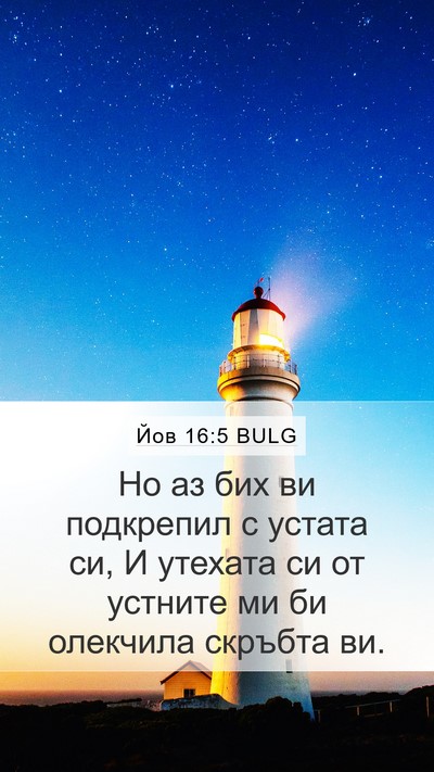 Йов 16:5 BULG Bible Verse Image