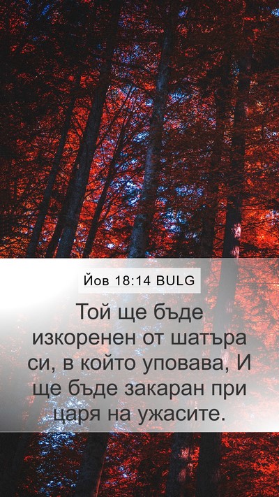Йов 18:14 BULG Bible Verse Image