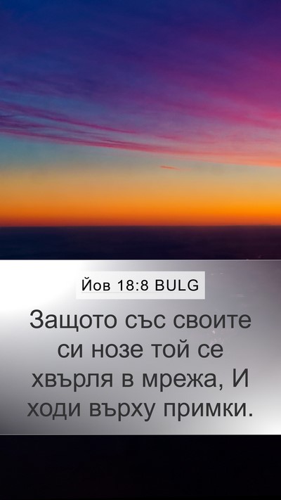 Йов 18:8 BULG Bible Verse Image