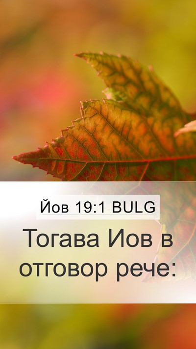 Йов 19:1 BULG Mobile Phone Wallpaper - Тогава Иов в отговор - Mobile Bible Verse Wallpaper