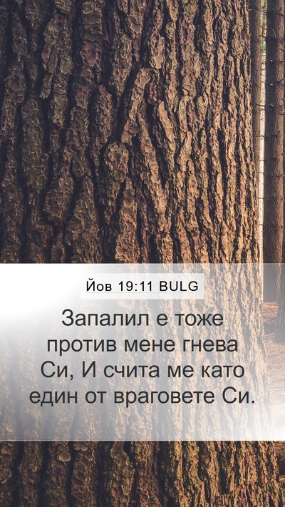 Йов 19:11 BULG Bible Verse Image