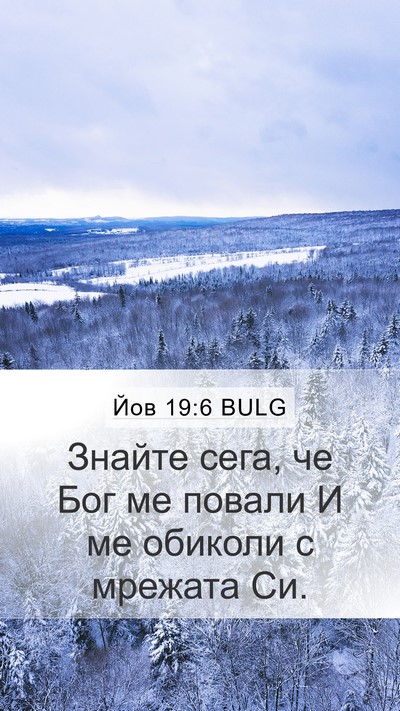 Йов 19:6 BULG Bible Verse Image