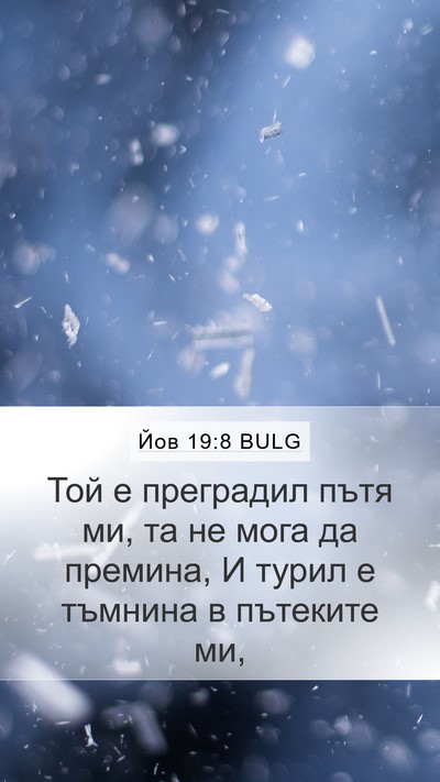 Йов 19:8 BULG Bible Verse Image