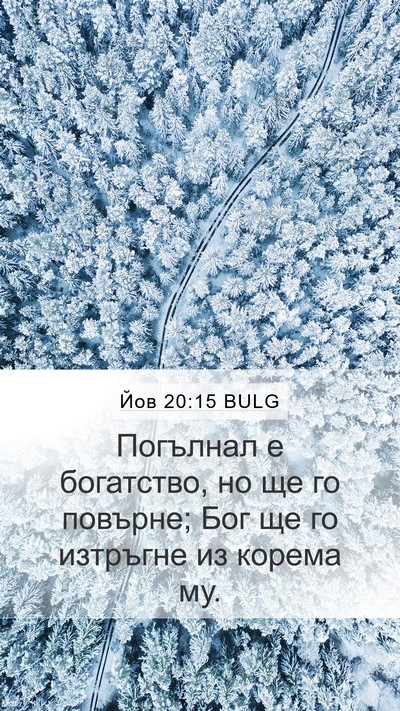 Йов 20:15 BULG Bible Verse Image