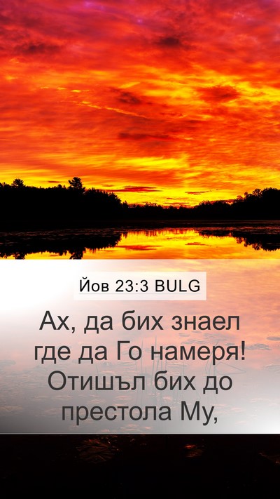 Йов 23:3 BULG Bible Verse Image