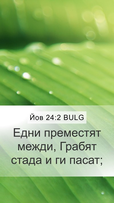 Йов 24:2 BULG Bible Verse Image