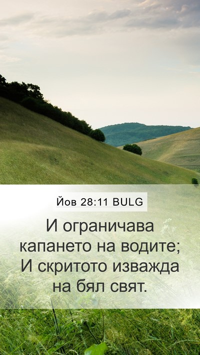 Йов 28:11 BULG Bible Verse Image