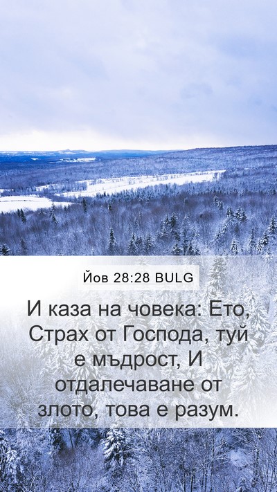 Йов 28:28 BULG Bible Verse Image
