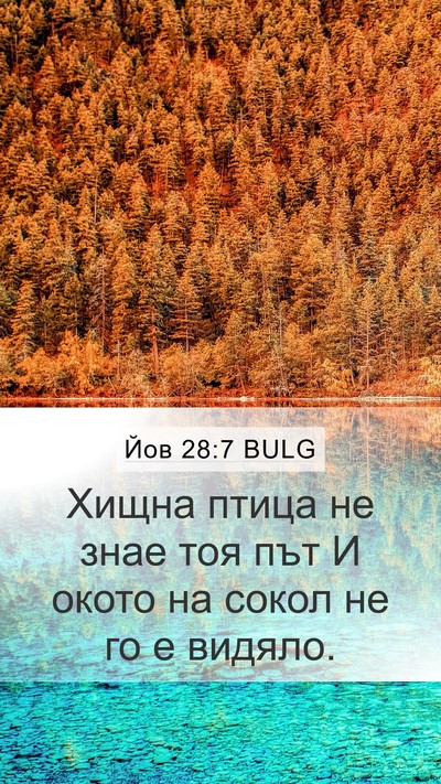Йов 28:7 BULG Bible Verse Image