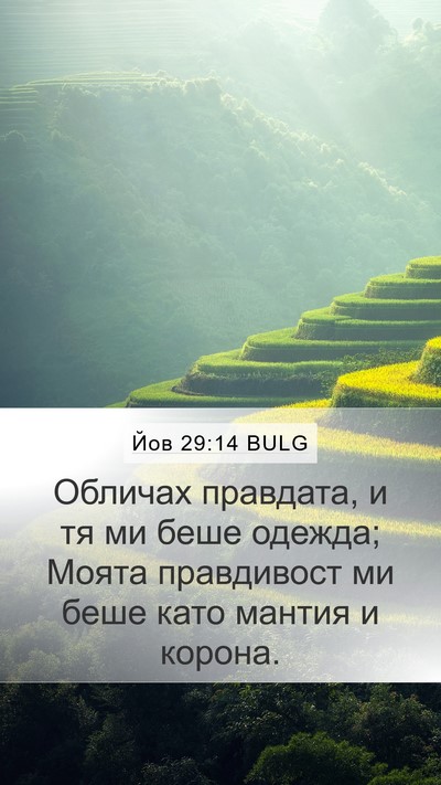 Йов 29:14 BULG Bible Verse Image