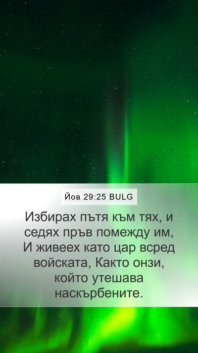 Йов 29:25 BULG Bible Verse Image