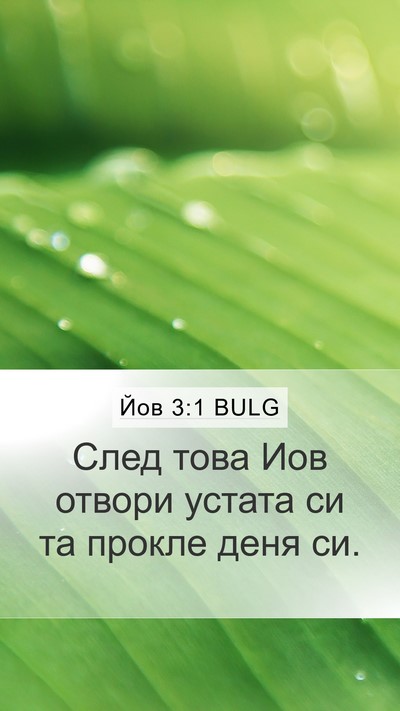Йов 3:1 BULG Bible Verse Image
