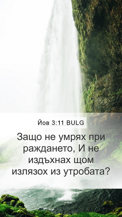 Йов 3:11 BULG Bible Verse Image