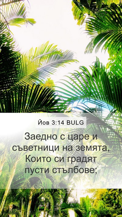 Йов 3:14 BULG Bible Verse Image