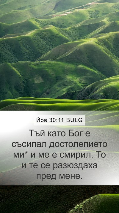 Йов 30:11 BULG Mobile Phone Wallpaper - Тъй като Бог е съсипал - Mobile Bible Verse Wallpaper