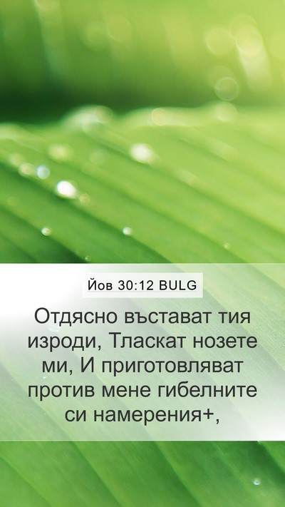 Йов 30:12 BULG Bible Verse Image