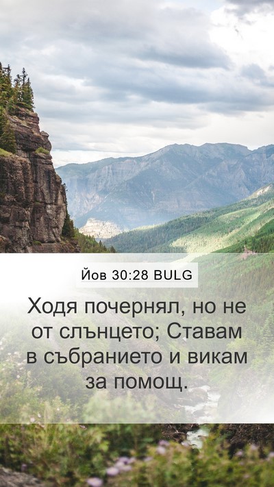 Йов 30:28 BULG Bible Verse Image