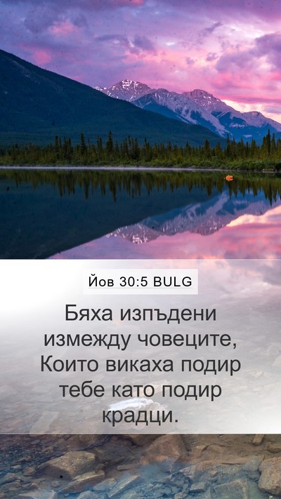 Йов 30:5 BULG Bible Verse Image