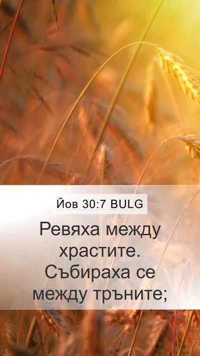 Йов 30:7 BULG Bible Verse Image