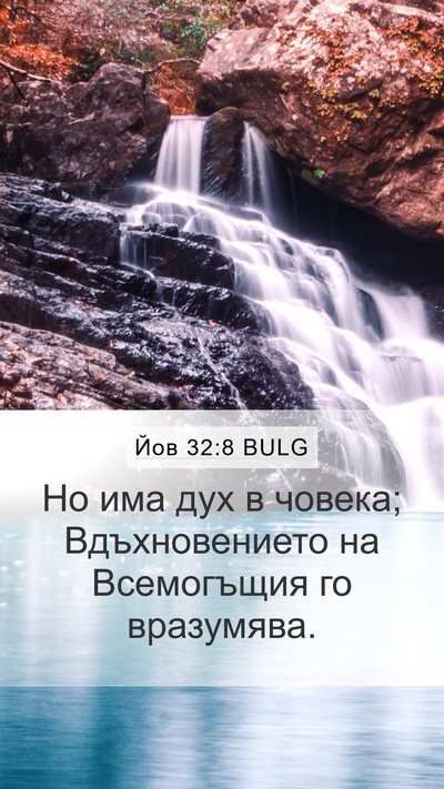 Йов 32:8 BULG Bible Verse Image