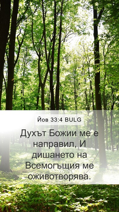 Йов 33:4 BULG Bible Verse Image