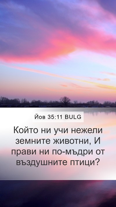 Йов 35:11 BULG Bible Verse Image