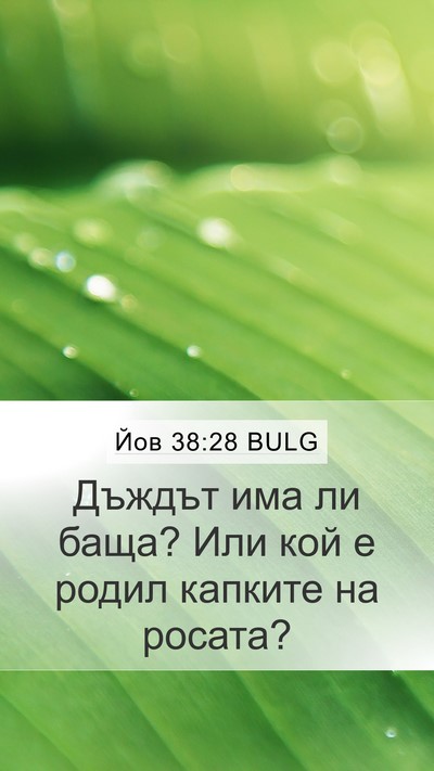 Йов 38:28 BULG Bible Verse Image