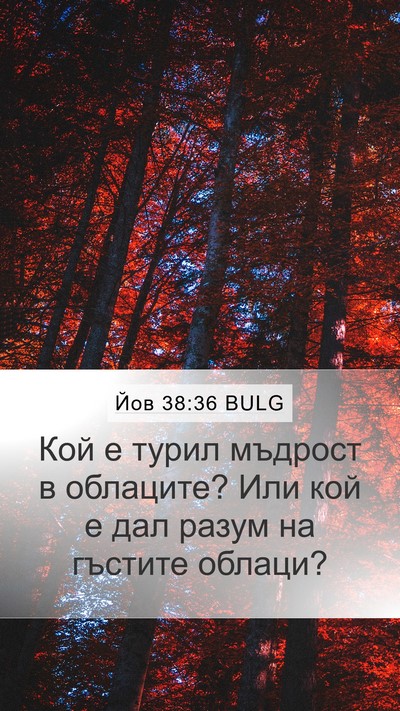 Йов 38:36 BULG Bible Verse Image