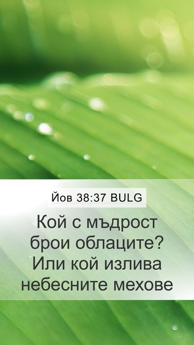 Йов 38:37 BULG Bible Verse Image