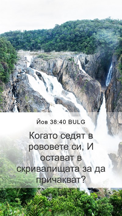 Йов 38:40 BULG Mobile Phone Wallpaper - Когато седят в рововете си, - Mobile Bible Verse Wallpaper