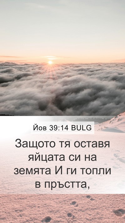 Йов 39:14 BULG Bible Verse Image